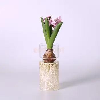 Transparentné Hyacint Sklenené Vázy Kvet Kvetináč Hrniec DIY Terárium Kontajner Dekor